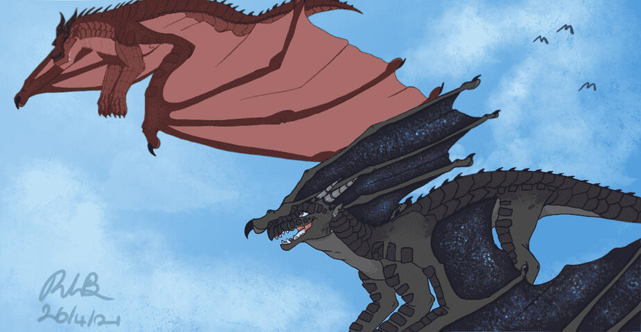2 dragons flying 2021