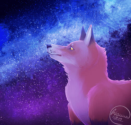Starry Fox 2022